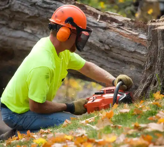 tree services Conway